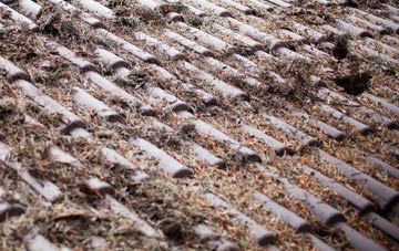 Liss roof cleaning companies